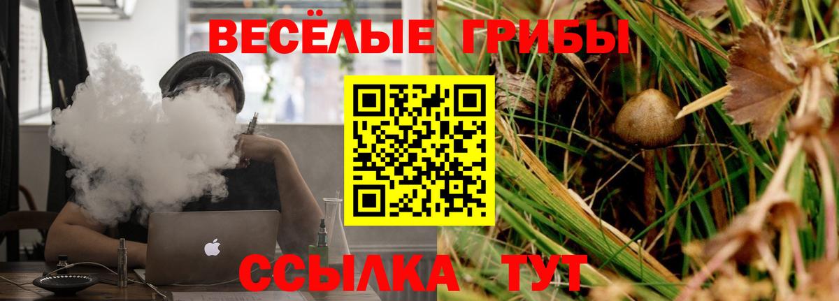 Галлюциногенные грибы Psilocybine cubensis Асбест